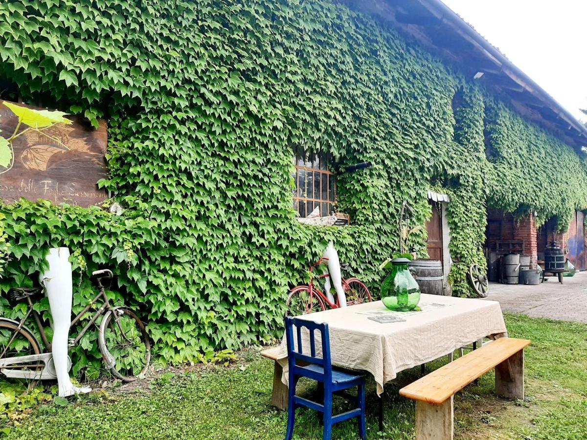 Вилла Casa Delle Foglie Sussurranti Асти Экстерьер фото